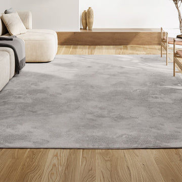 Haze Solid Low-pile Area Rug Ivory
